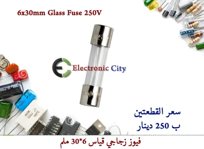 6x30mm Glass Fuse 250V     (2Pcs/Lot)